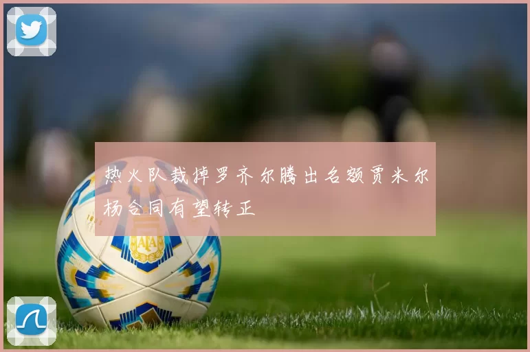 热火队裁掉罗齐尔腾出名额贾米尔杨合同有望转正