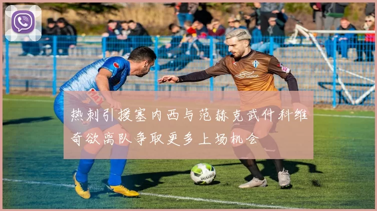 热刺引援塞内西与范赫克武什科维奇欲离队争取更多上场机会