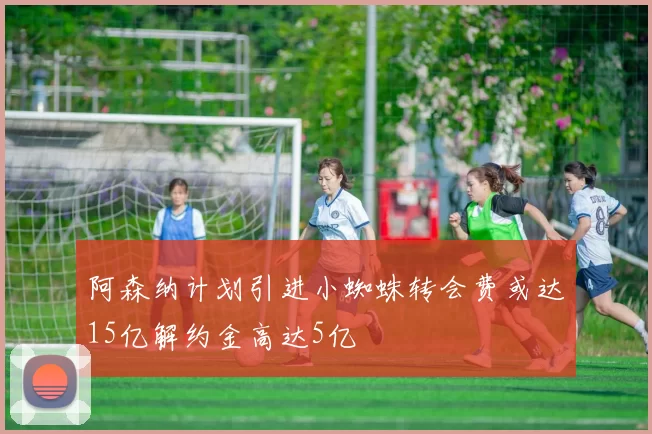阿森纳计划引进小蜘蛛转会费或达15亿解约金高达5亿